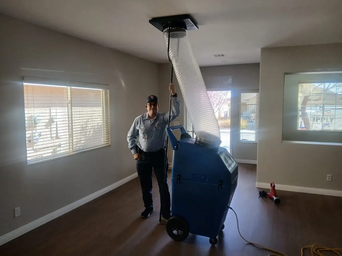 Professional Dryer Vent Cleaning work inside a Willard home